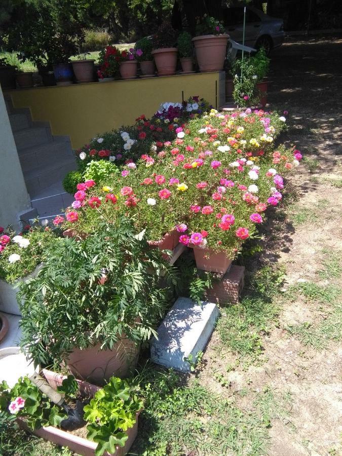 Martha'S Villa Nea Iraklitsa Dış mekan fotoğraf