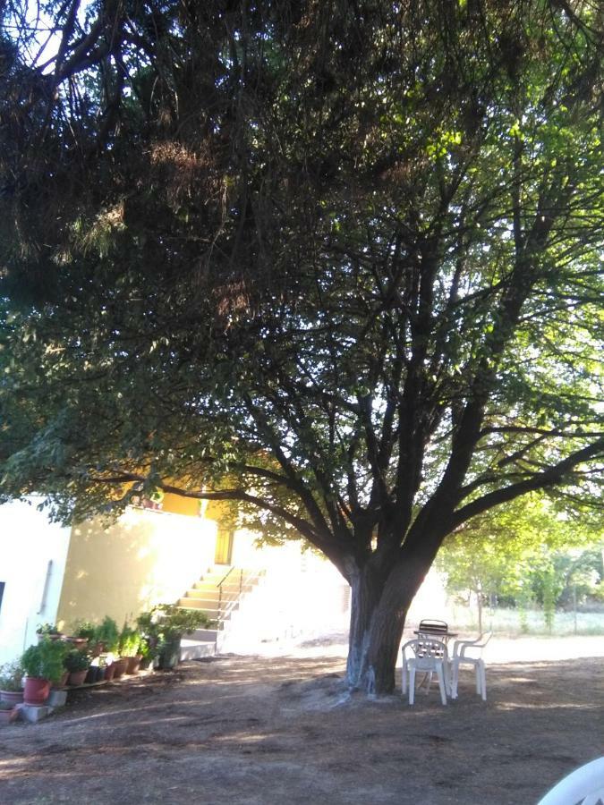 Martha'S Villa Nea Iraklitsa Dış mekan fotoğraf