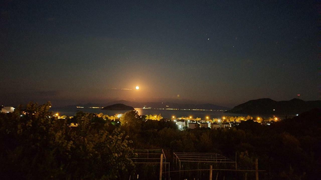 Martha'S Villa Nea Iraklitsa Dış mekan fotoğraf